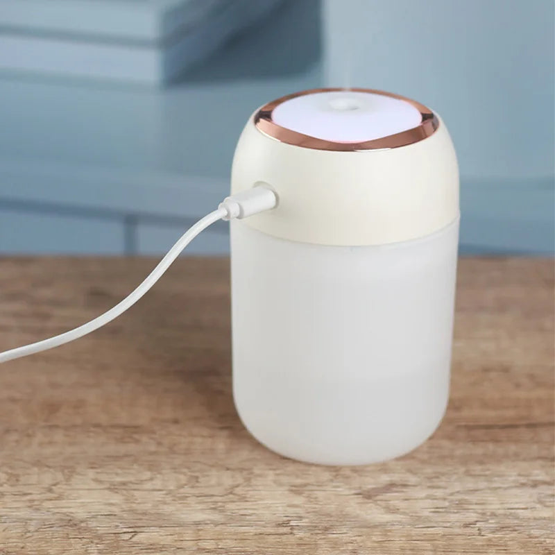 Portable Mini USB Air Humidifier Aroma Diffuser LED Cool Light 330ml Mist for Room Home Car Plant Purifier